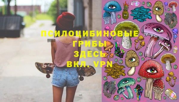 крисы Шарыпово