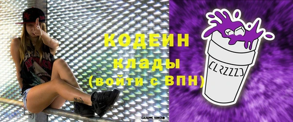 крисы Шарыпово