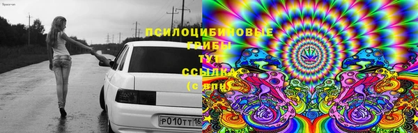 шишки Шали