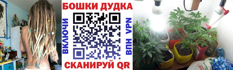 Купить где  Междуреченск  Бошки Шишки THC 21% 